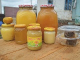Компания Натуральный живой мёд - Фотография №3