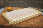 Компания Натуральный живой мёд 