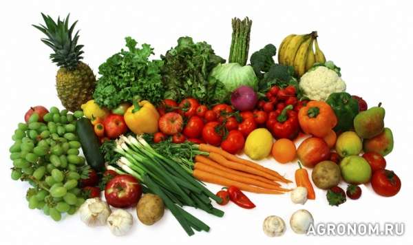 Продажа и доставка овощей и фруктов