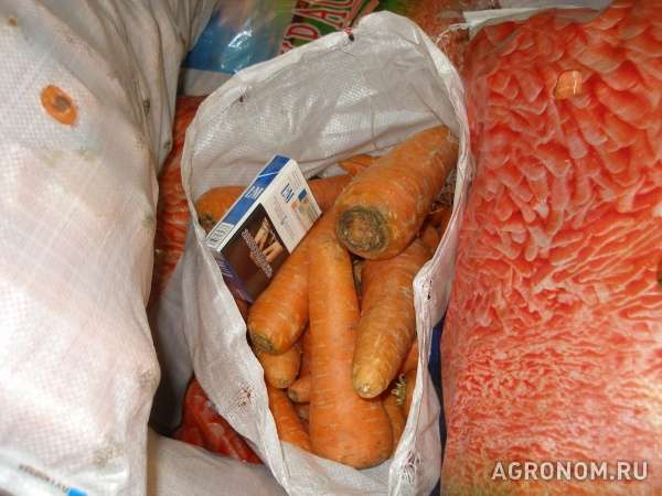 Продаем овощи со склада в москве: