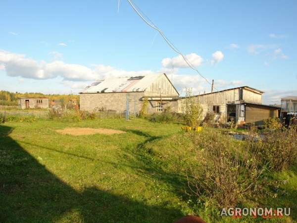 Продается мини-ферма со своим пастбищем и жилым домом в 250 км от мос