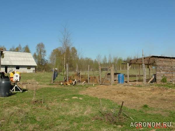 Сдам или продам земельный участок 20га в 250 км от москвы