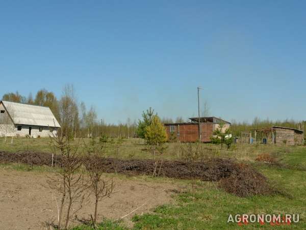 Сдам или продам земельный участок 20га в 250 км от москвы