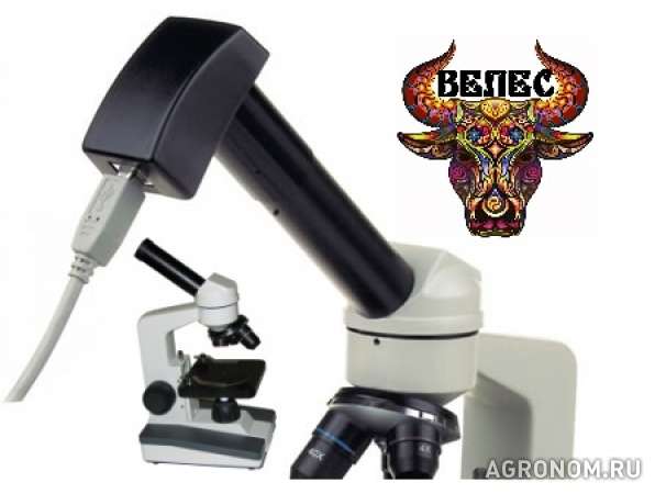 Микроскоп техника осеменатора 1