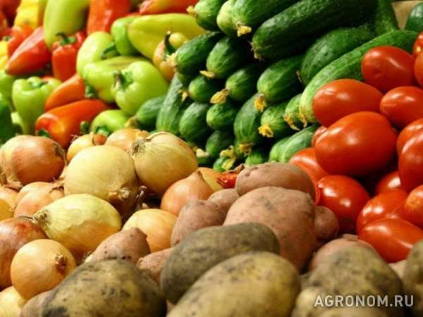 Продам овощи, фрукты урожай 2015 года.