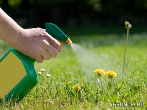 Агрохимия средства защиты растений - неселективные гербициды