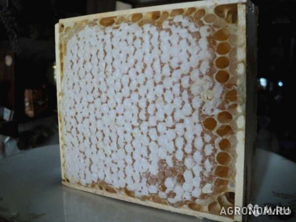 Натуральный пчелиный мёд