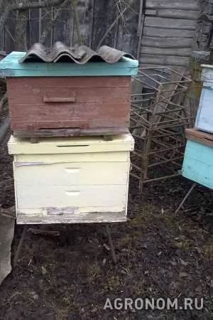 Ульи для пчеловодства б/у