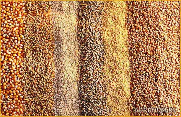 Комбикорм зерно отруби добавки для животных