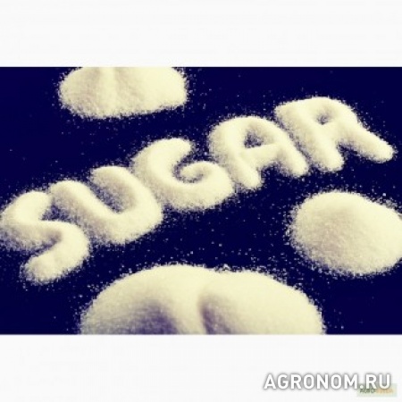 Продам сахар на экспорт свекловичный, тростниковый.