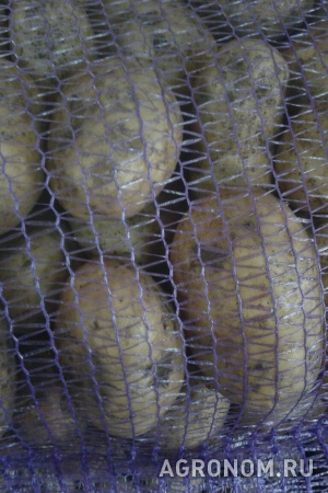 Картофель оптом от производителя 9 р/кг