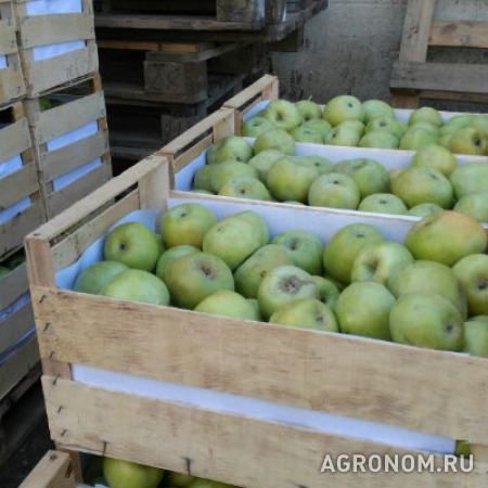 Деревянные ящики из шпона для упаковки фруктов и овощей