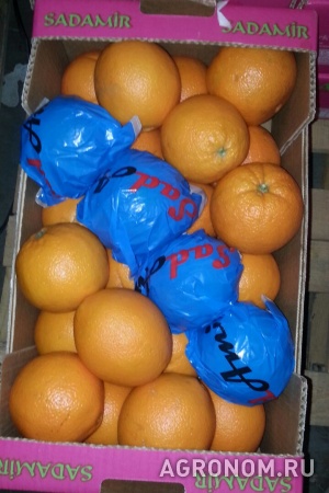 Апельсины турция
