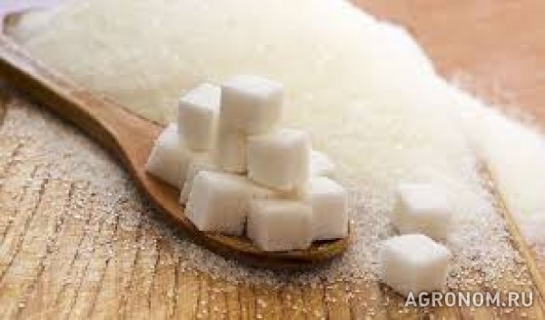 Сахар icumsa 45 на экспорт