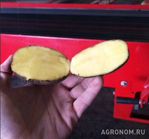 Картофель оптом от производителя в крыму