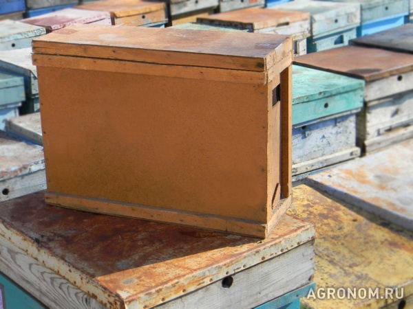 Карпатские пчёлы, матки, пчелопакеты, пчелосемьи