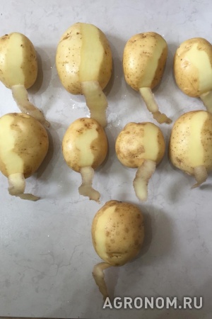 Отборный картофель от производителя 6+