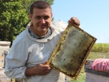 Продам оптом мёд 2014 года