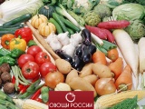 Закупаем продовольственные овощи в больших количествах