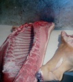 Продажа свинины и говядины оптом