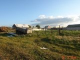Продается мини-ферма со своим пастбищем и жилым домом в 250 км от мос
