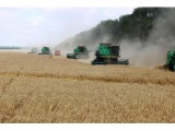 Пшеница 5 кл. 200 т. с ндс.