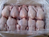 Мясо птицы производства казахстан
