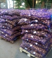 Картофель от 20 тонн в нижегородской области