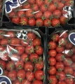 Продаём помидоры черри и другие оптом