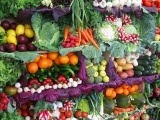 Дешёвые овощи и фрукты от нашей компании
