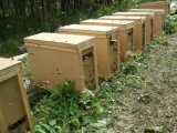 Самые ранние пчелопакеты в волгограде