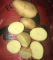 Картофель продовольственный со склада
