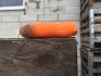 Продам морковь - фотография №2