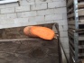 Продам морковь - фотография №4