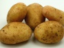 Картофель продовольственный - фотография №3
