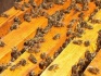 Пчелопакеты - пчелосемьи! - фотография №4