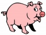 Комбикорм для свиней 6 руб.кг - фотография №2