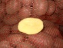 Картофель оптом. цена указана с доставкой по нск. - фотография №3