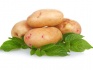 Продам картофель оптом от производителя - фотография №1