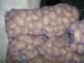 Продам картофель оптом от производителя - фотография №6