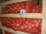 Продаем овощи со склада в москве: - фотография №2