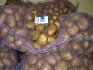 Продаем овощи со склада в москве: - фотография №4