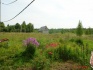 Сдам или продам земельный участок 20га в 250 км от москвы - фотография №1