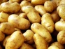 Продам картофель - фотография №2