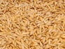 Пшеница, ячмень, кукуруза, горох, нут, чечевица fca/cpt/fob - фотография №3