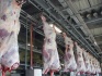 Линия убоя свиней производительностью 10 голов в час - фотография №2