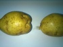 Картофель оптом в краснодаре! - фотография №2