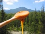 Алтайский мёд оптом