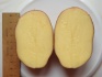 Картофель оптом ред скарлет, калибр 6-7+ - фотография №1
