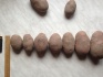 Картофель оптом ред скарлет, калибр 6-7+ - фотография №5